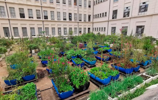 Agricultura urbana em São Bernardo inspira novo programa