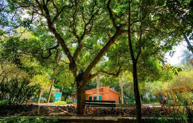 Parque Lajeado