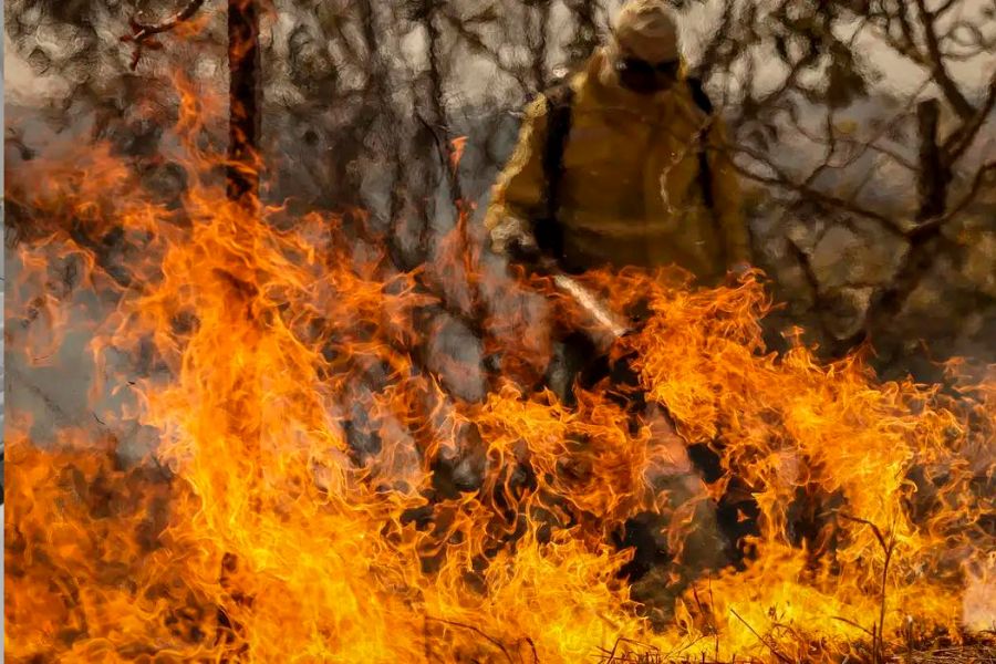 Incêndios Florestais Incêndio. Defesa Civil