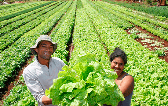  agricultura familiar 