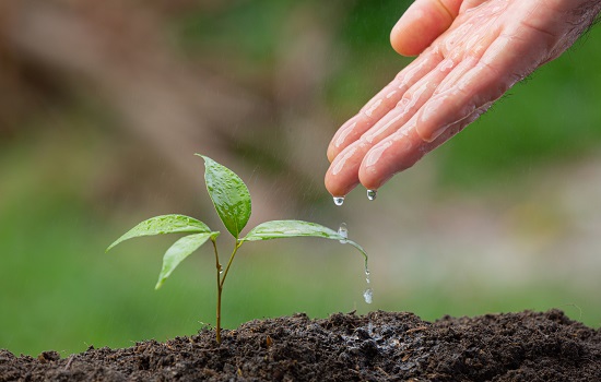 conservação ambiental