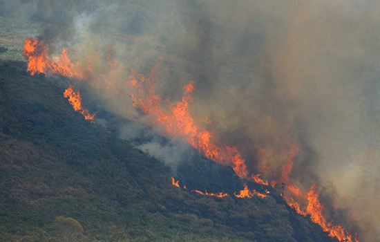 incêndios florestais