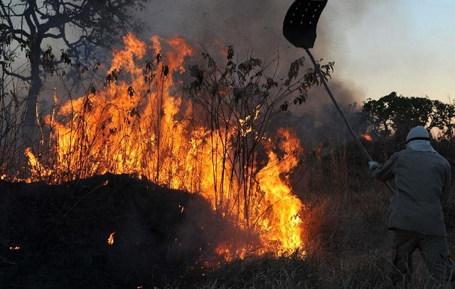 Incêndios Florestais