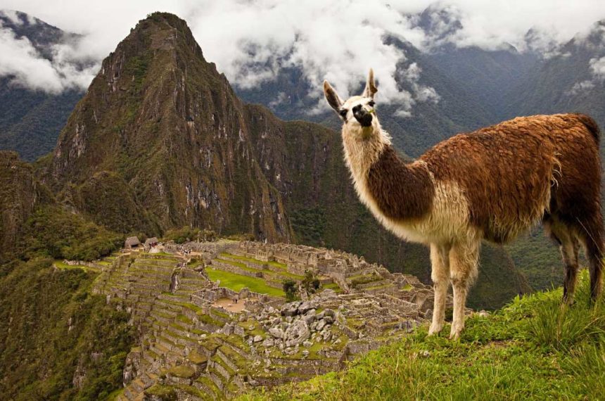 Machu Picchu lidera buscas de brasileiros por maravilhas